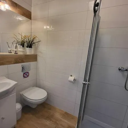 Апартаменты Comfortable Premium Class Apartment, Shared Swimming Pool, Гонски