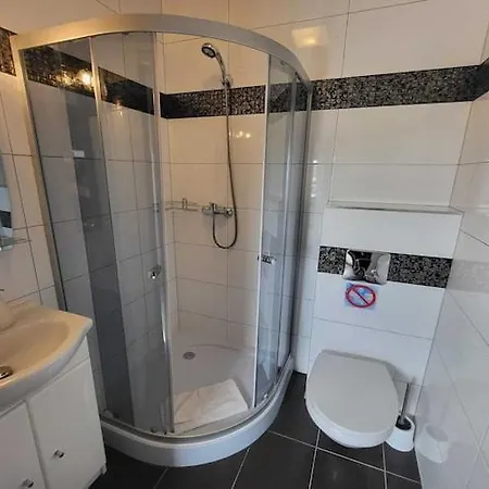 Апартаменты Comfortable Premium Class Apartment, Shared Swimming Pool, Гонски